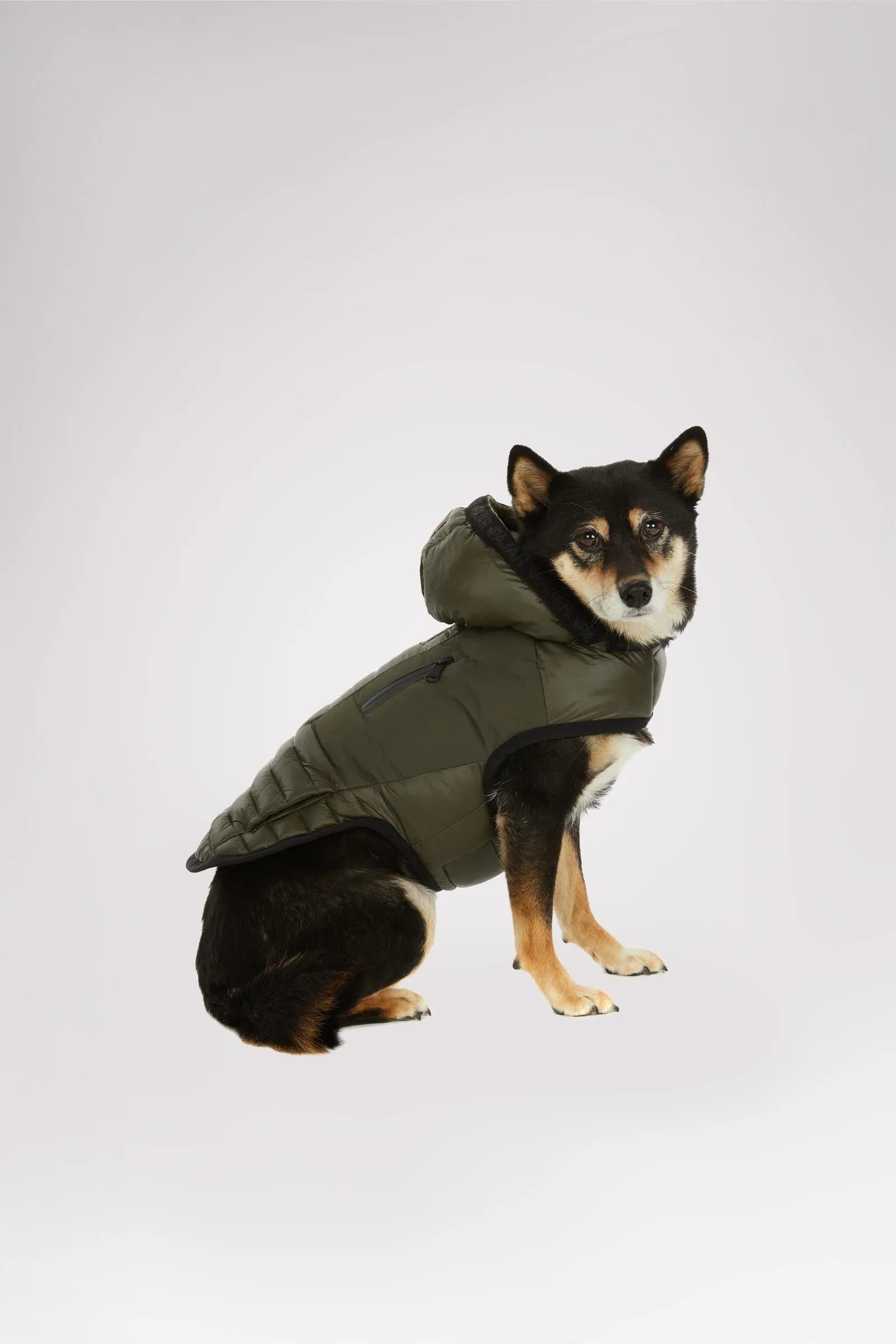 Eddie Jacket for Dogs